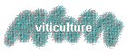 viticulture