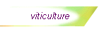 viticulture