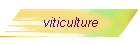 viticulture